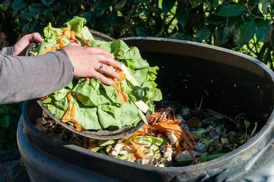 Do kiedy można stosować nawozy naturalne — praktyczne terminy i wskazówki