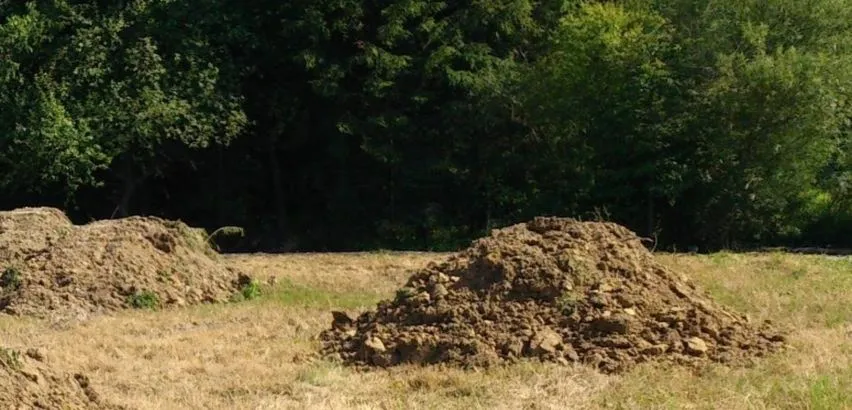 Gdzie wyrzucić ziemię, by zrobić to legalnie, ekologicznie i bez mandatu?