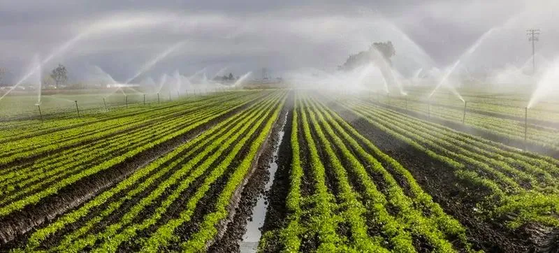 Kiedy można zostać rolnikiem? Poznaj kluczowe kroki do sukcesu w agrarii!