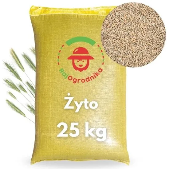Kiedy siać żyto na nawóz zielony? Najlepszy termin dla zdrowego łanu