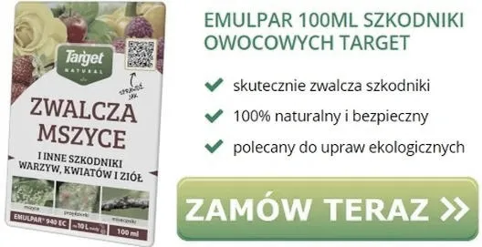 Opryski borówki amerykańskiej: jakie preparaty i kiedy je stosować?