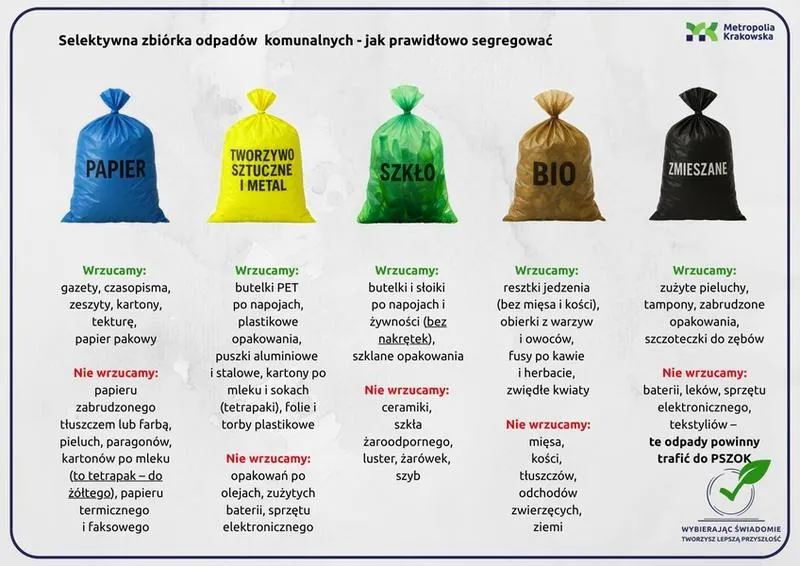 Pieluchy: gdzie wyrzucać? Zasady segregacji i fakty o ekologii