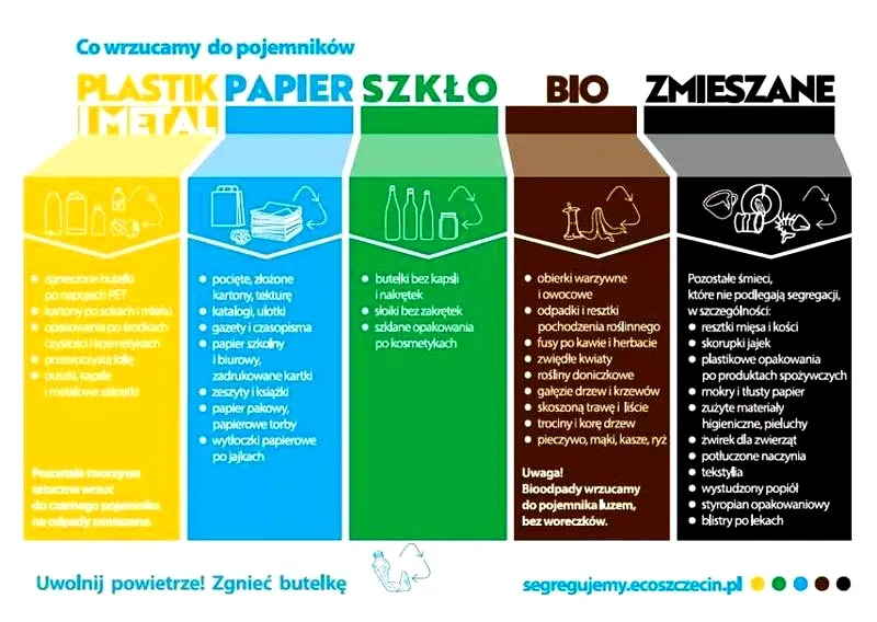 Segregacja śmieci: Podstawowy poradnik, co wrzucić do jakiego pojemnika?