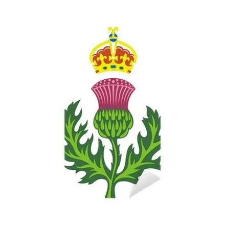 Symbol Szkocji: oset – dlaczego właśnie ta roślina?