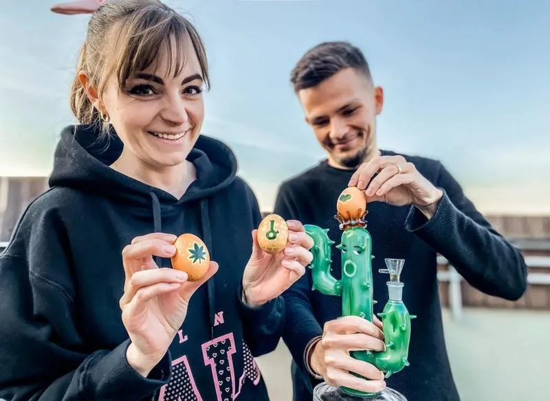 Z jakiego drzewa pochodzą pistacje? Odpowiedź może zaskoczyć